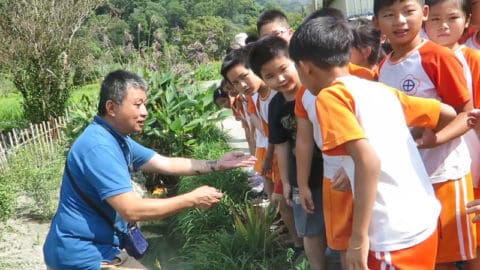 環境教育生態踏查