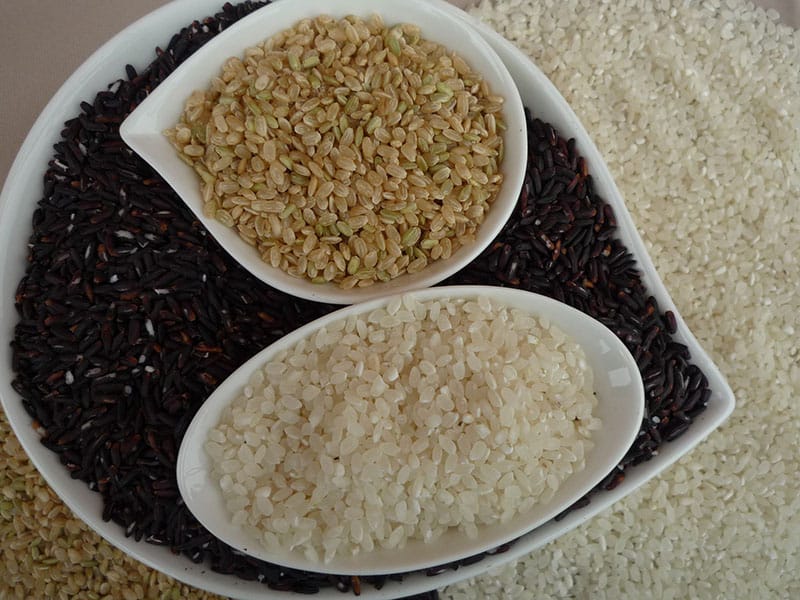 稻鴨庄 糙米 紫米粽 白米